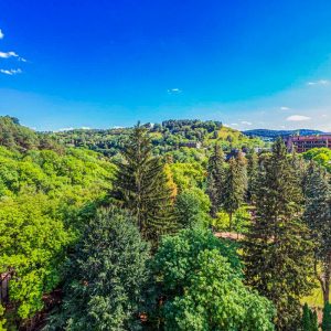 Вид на парковую зону с санатория Узбекистан город Кисловодск - фотография