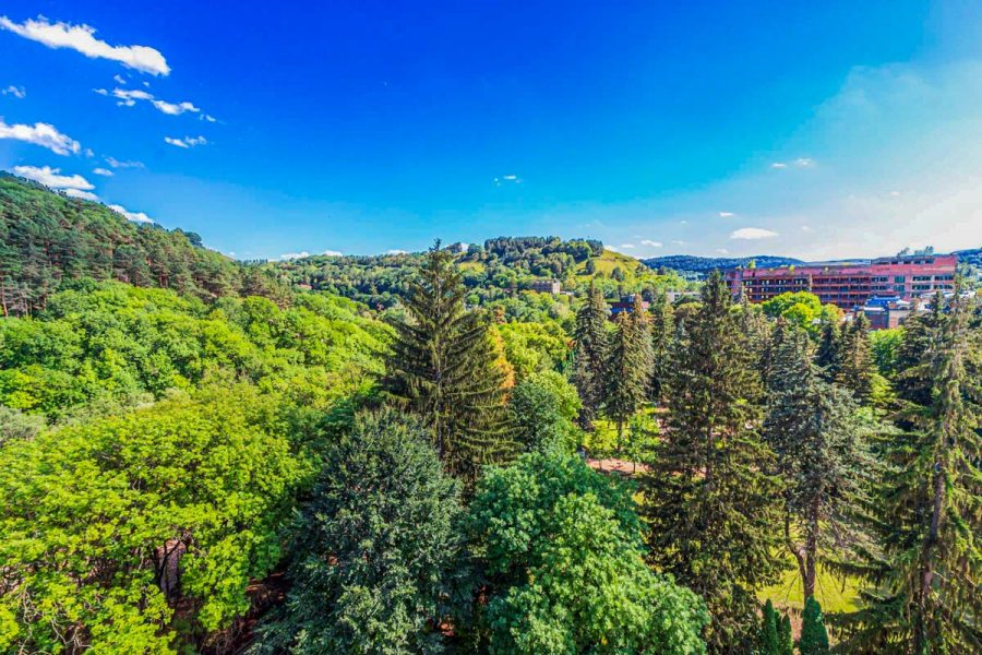 Вид на парковую зону с санатория Узбекистан город Кисловодск - фотография