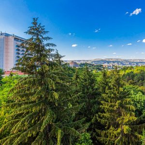 Вид на парковую зону с санатория Узбекистан город Кисловодск - фотография