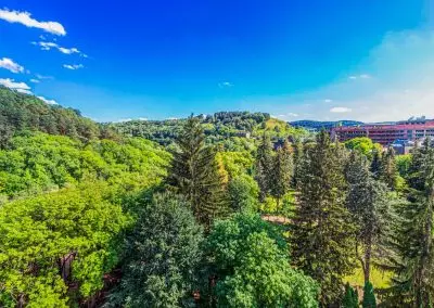 Вид на парковую зону с санатория Узбекистан город Кисловодск - фотография